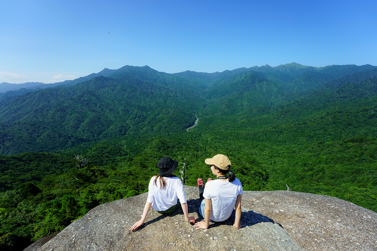 MICE Activities Acommodations Kagoshima Japan Forest Bathing Yakushima